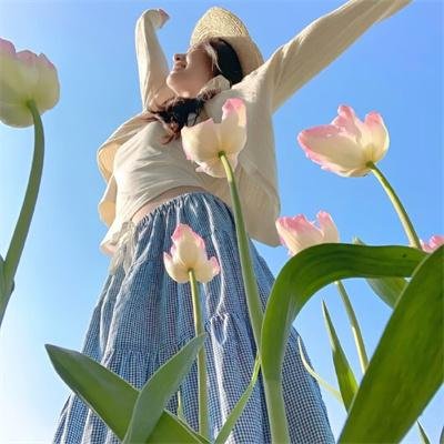 傲骨贤妻第三季